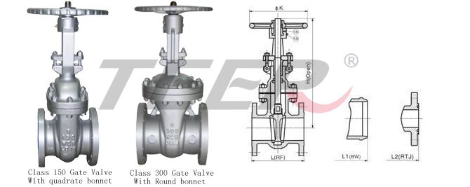 Swing type check valve